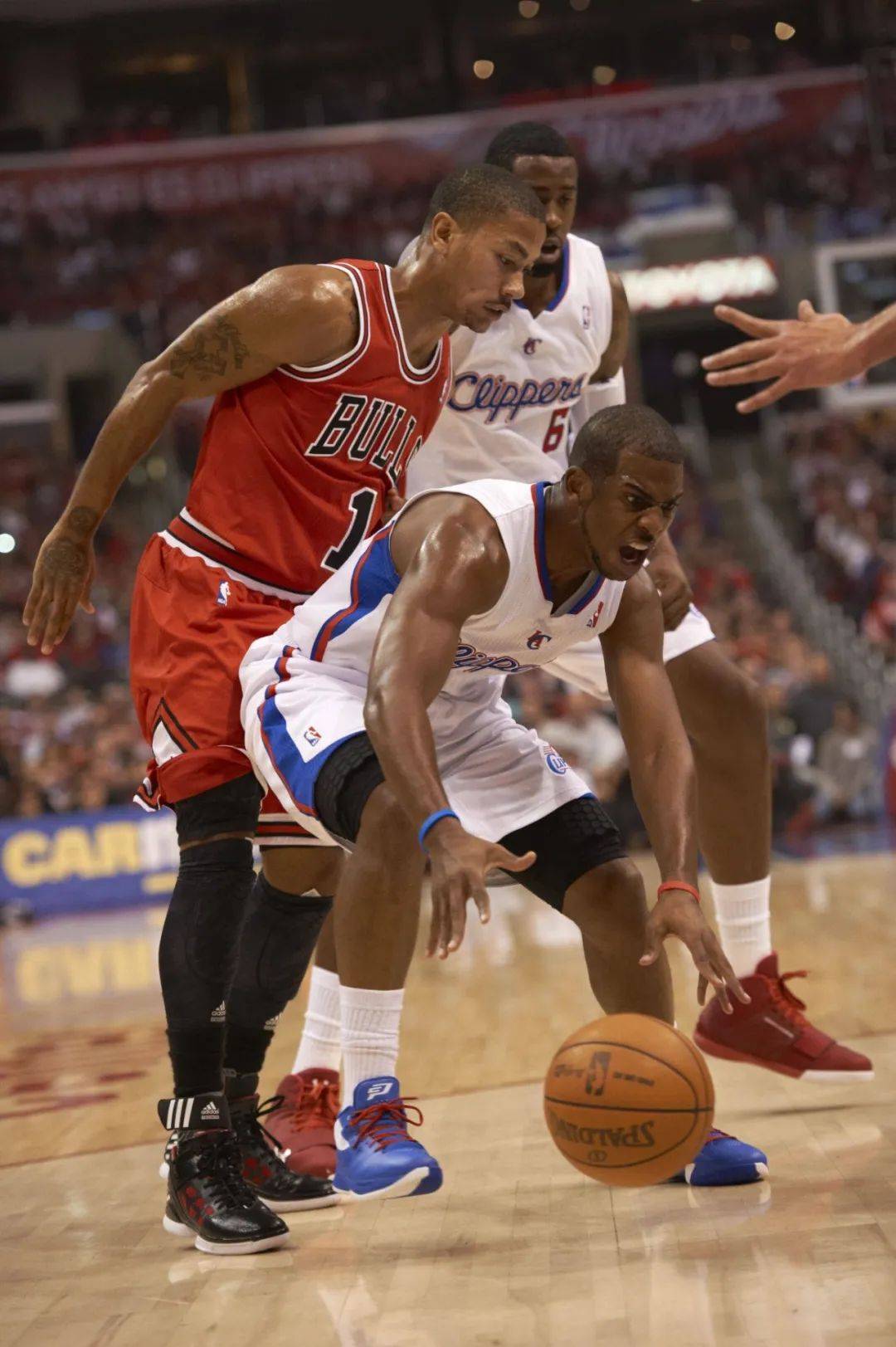 NBA player Fox (NBA player Fox profile profile)