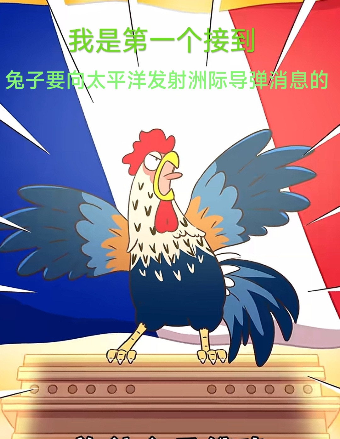高卢鸡(高卢鸡图片)